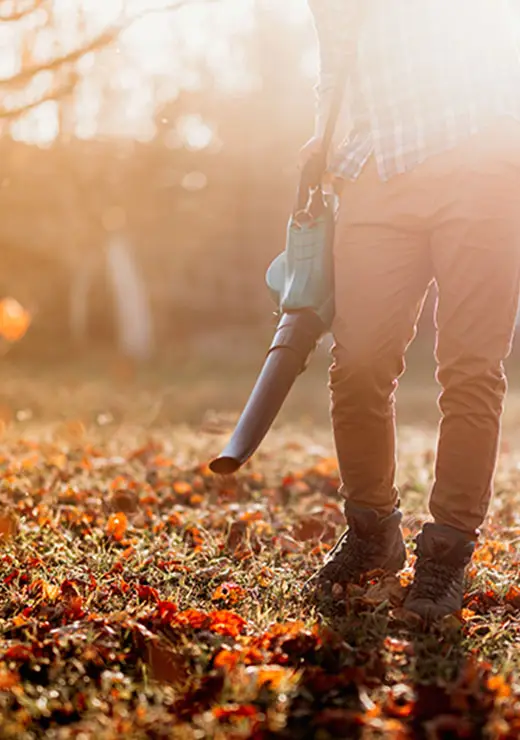 Spring and fall yard cleanup in Riverview, Michigan
