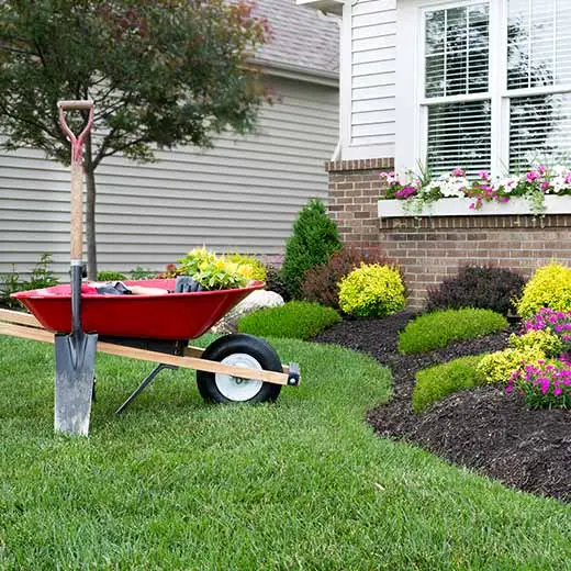 Thick green fertilized front lawn