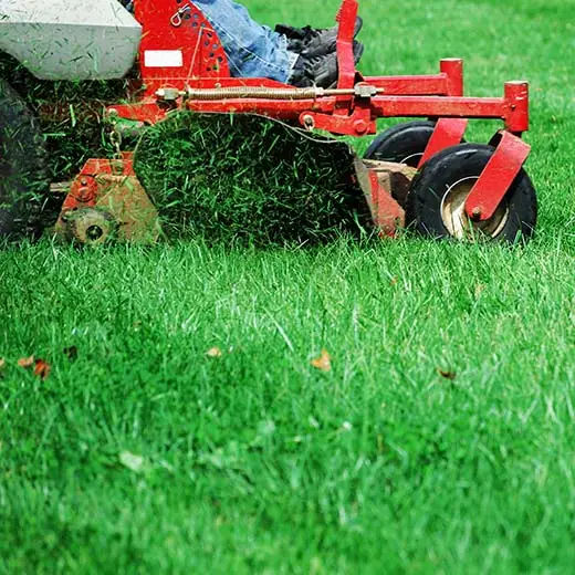 Freshly mowed residential lawn in New Boston, Michigan