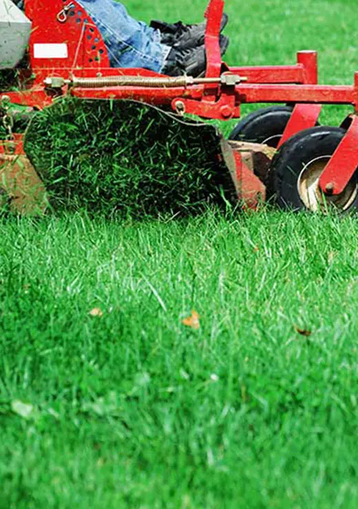 Freshly cut Michigan lawn maintained by ABC Lawn Care