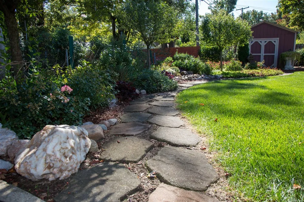 Mature yard redesign