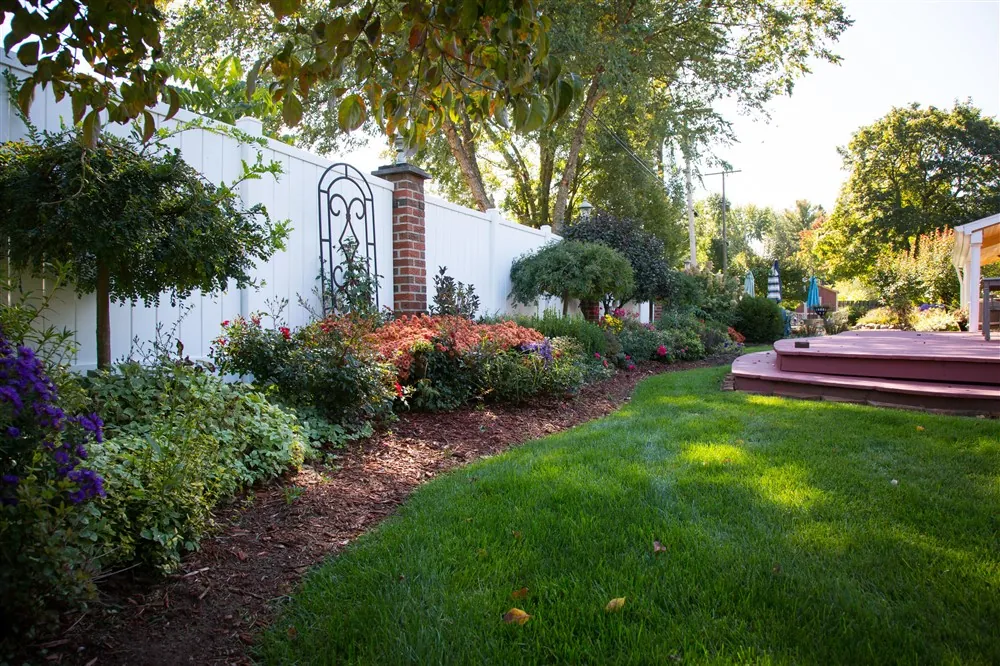 Front yard renovation