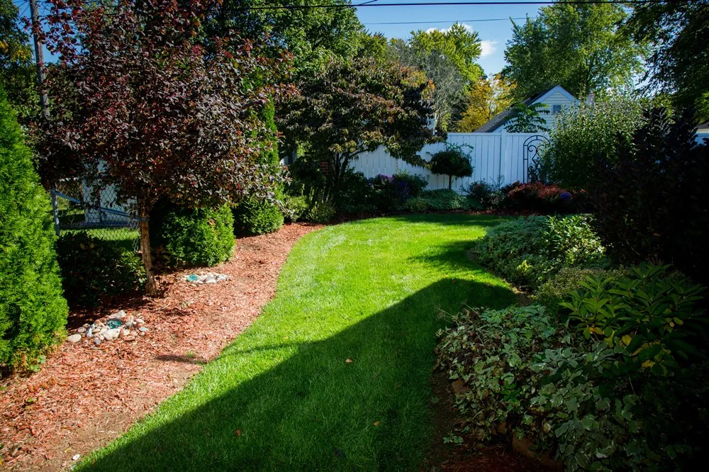 Backyard landscape project