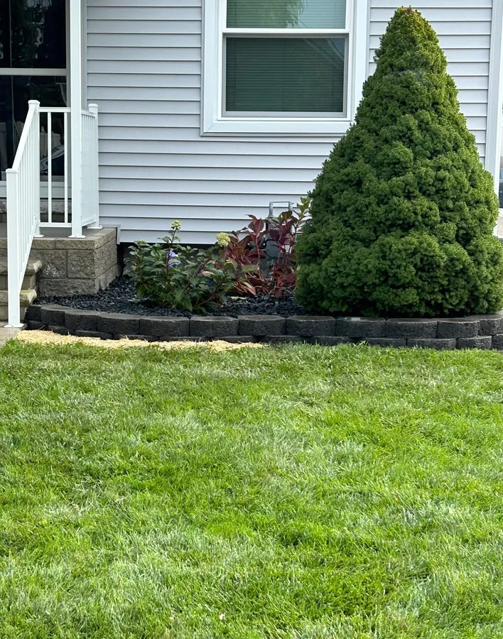 Planting bed install