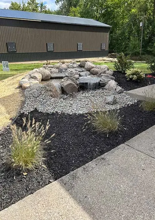 Naturalized koi pond