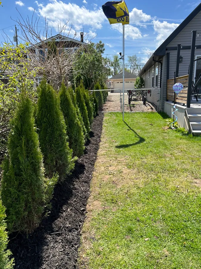 Curb appeal refresh