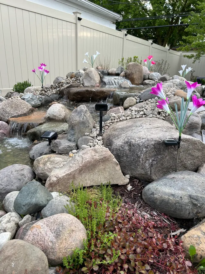 Backyard pond install