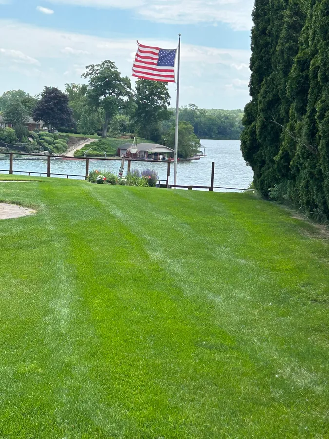 Fresh-cut lawn