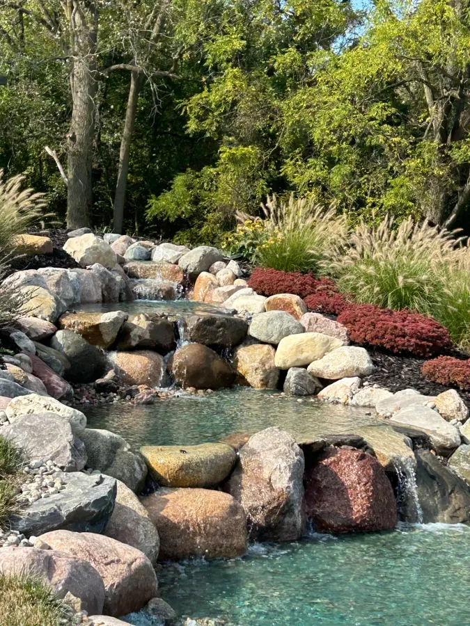 Pondside landscape detail